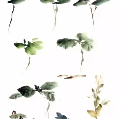(水里鹅卵石)水中鹅卵石的画法：如何捕捉光影交错中的静谧美感？