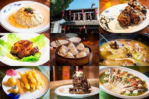 看香港精准资料免费公开|探索古镇风情与美食之旅_收藏版.2.702