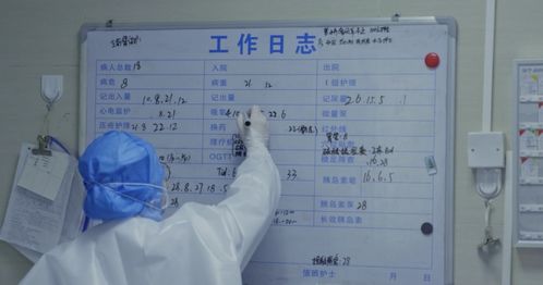 4887王中王开奖结果十记录|探讨国产化对解答的影响_经典版IP.3.656