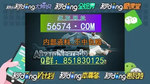2024澳门天天开好彩大全19期|诠释解析落实_半成制.8.644