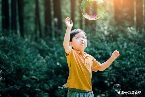 2024今晚新澳门开奖结果出来|探寻历史背后的秘密与故事_匹配版.4.93